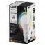 Calex Smart LED Lamp Peer RGB E27 8,5W 806lm - Verpakking