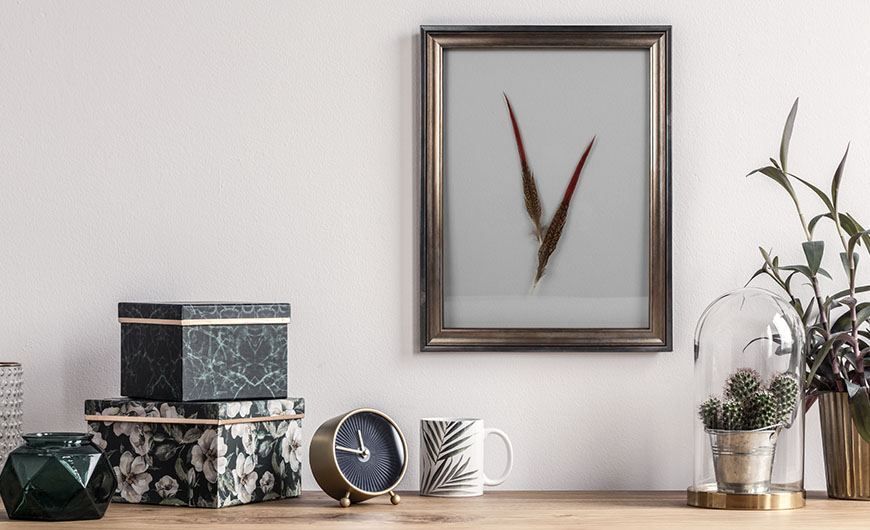 Dubbelglas fotolijst met ingelijst fazanten veer